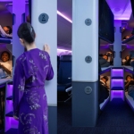 Air New Zealand Skynest